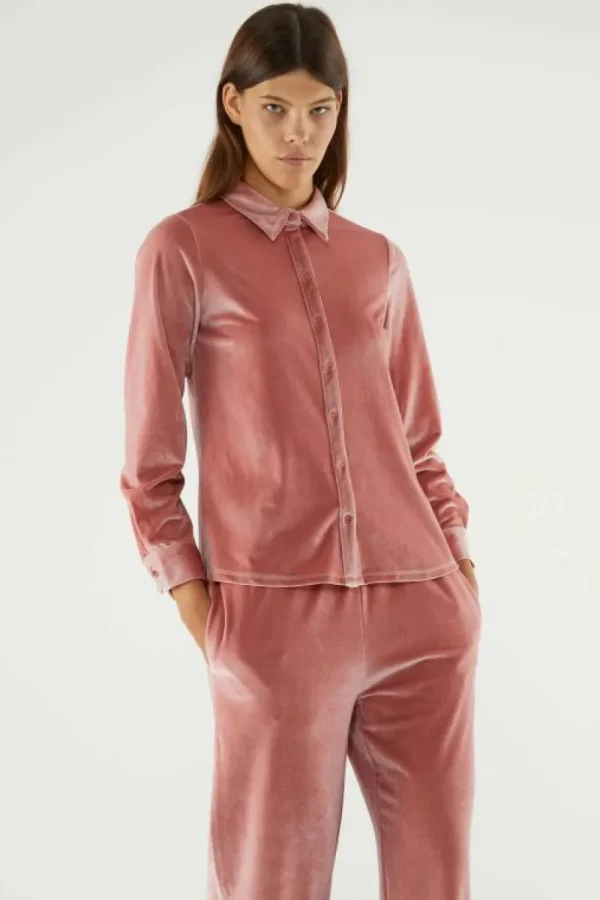 Camisa de manga larga y terciopelo rosa-COMPAÑIAFANTASTICA New