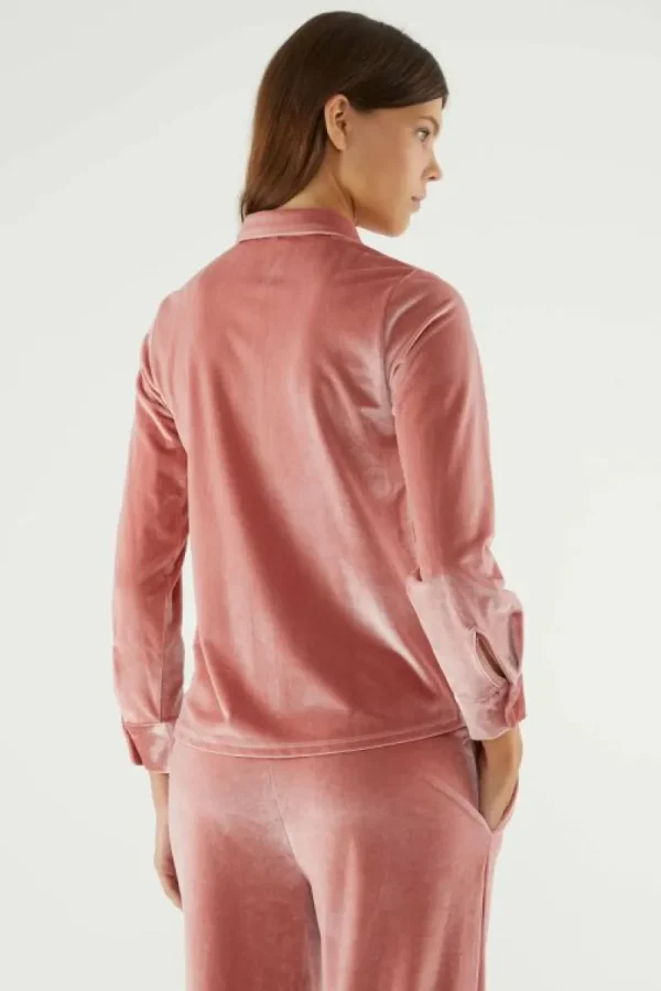 Camisa de manga larga y terciopelo rosa-COMPAÑIAFANTASTICA New