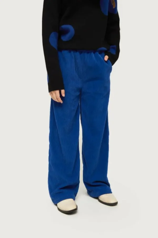 pantaln_de_nia_de_pana_az_2-1.webp Pantalón de niña de pana azul-MINI Hot